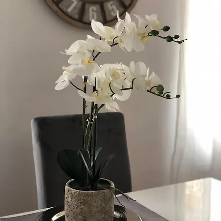 아파트 41 Calle Espronceda *