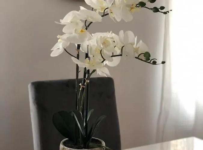 Apartament 41 Calle Espronceda *