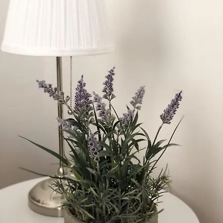 Apartment 41 Calle Espronceda Alicante